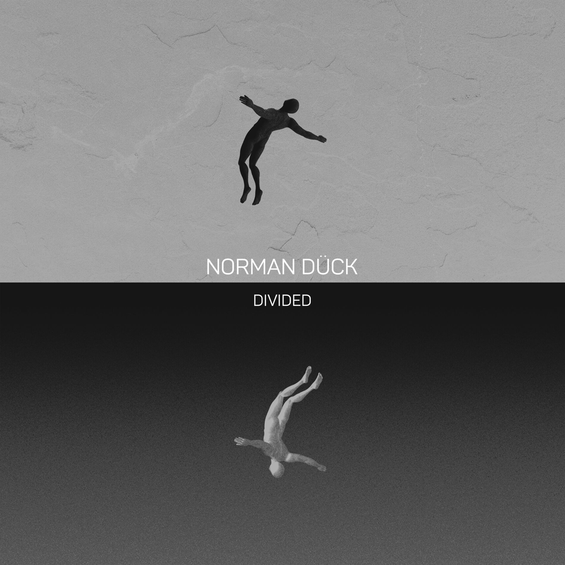 Album cover of Divided