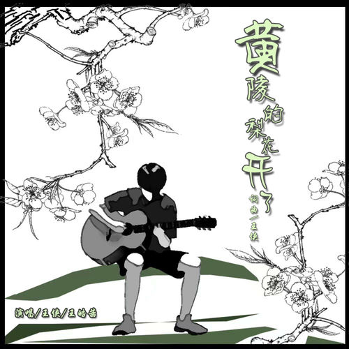 黄陵的梨花开了