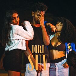 Cover of SUV