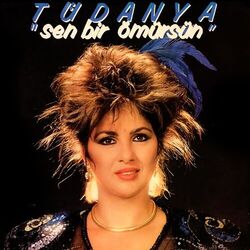 Cover of Sen Bir Ömürsün