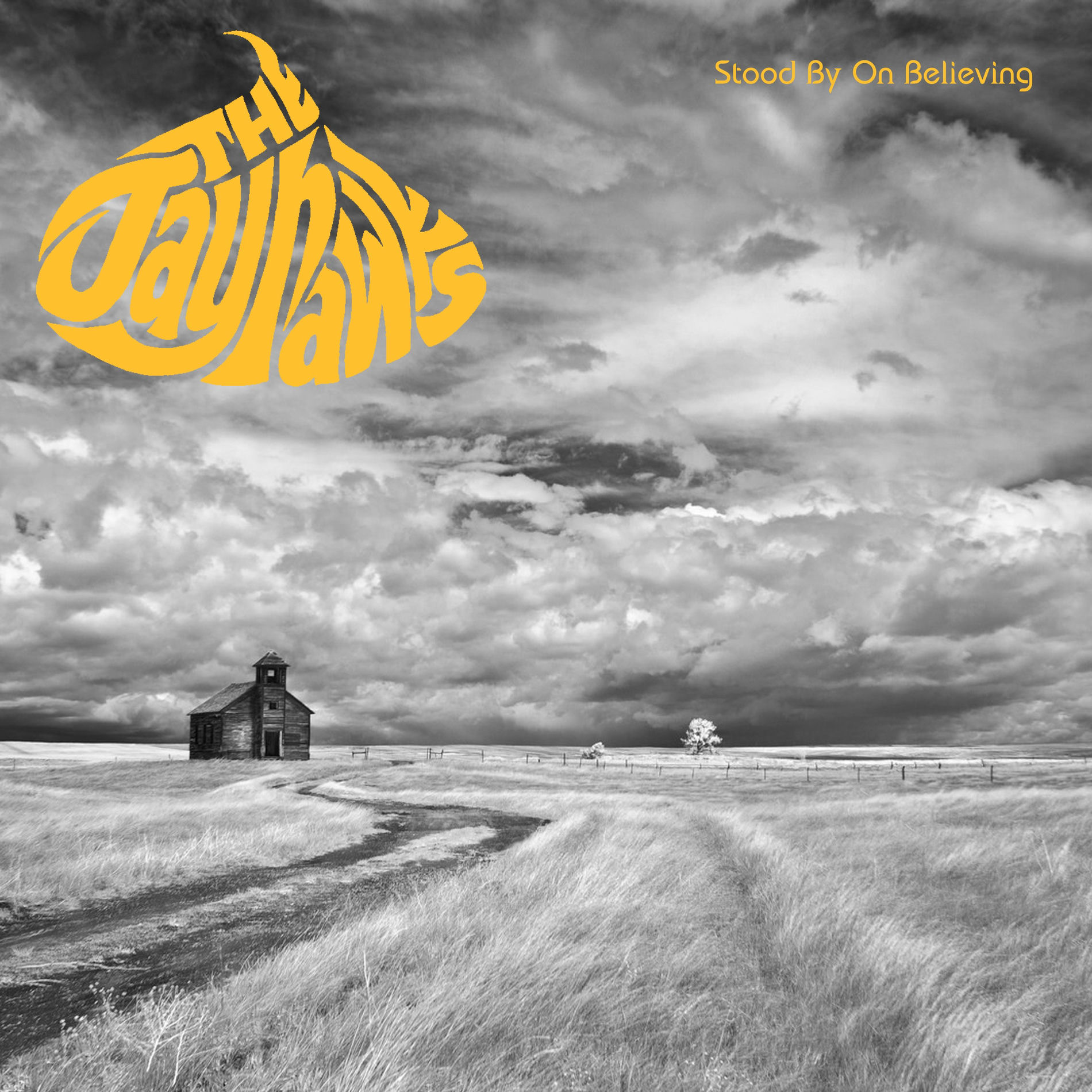 Album cover of Stood On Believing