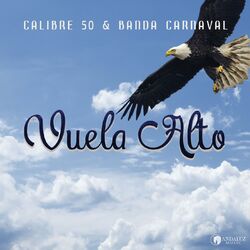 Cover of Vuela Alto