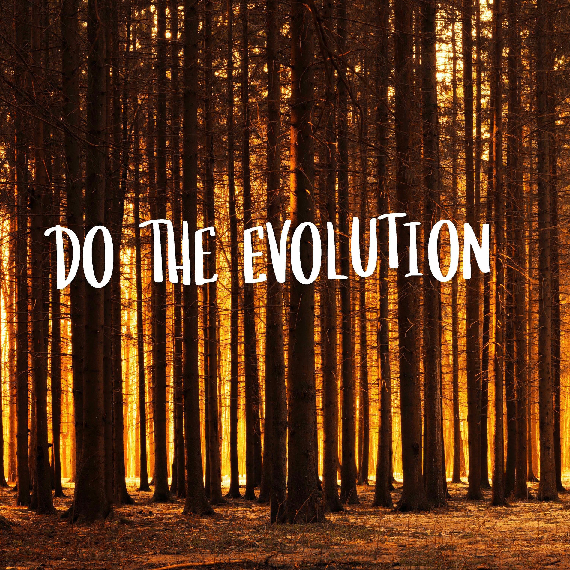 Album cover of Do the Evolution