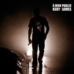 Cover of À mon public (Live au Zénith de Paris le 18 décembre 2009)