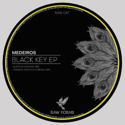 Cover of Black Key EP