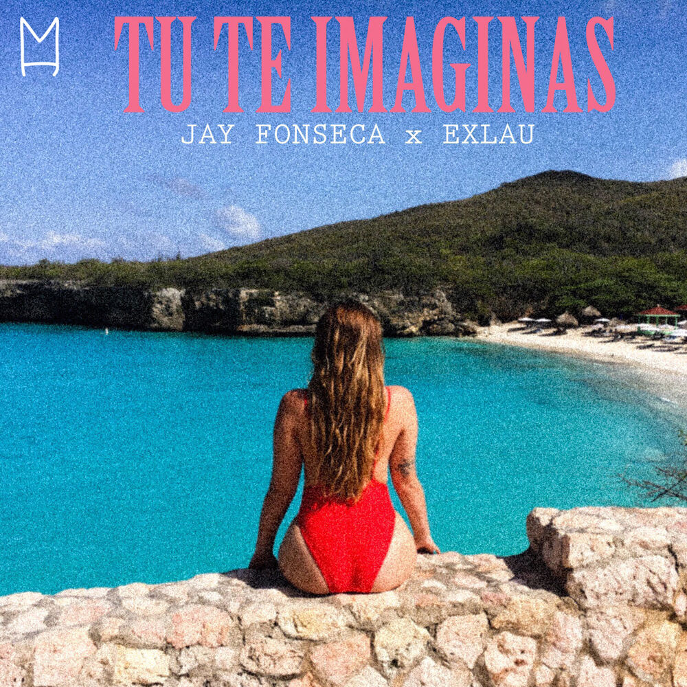 Picture of Tu Te Imaginas