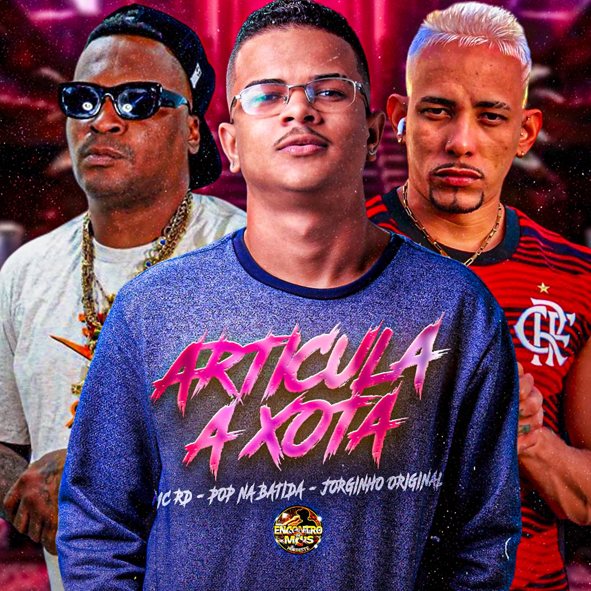 Album cover of Articula a Xota