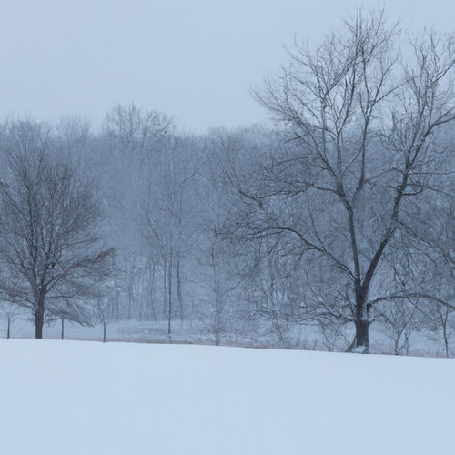 Snowed In