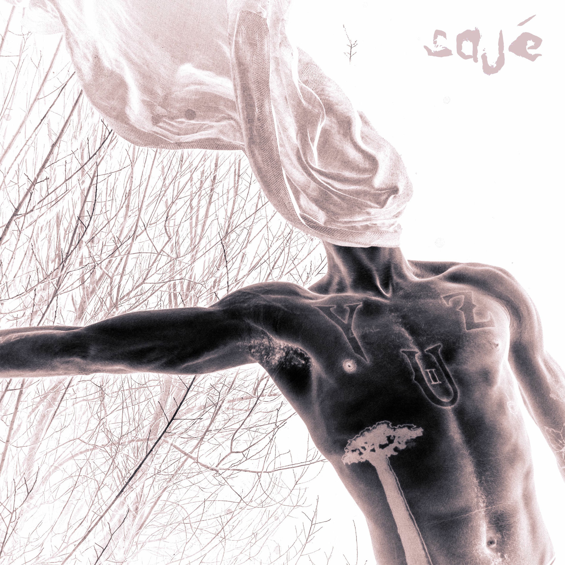 Album cover of SAJÉ