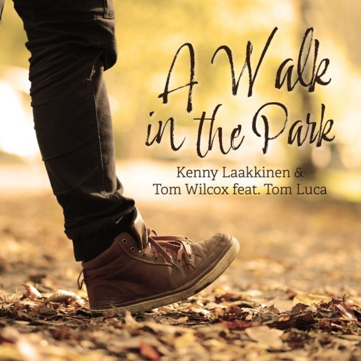 Album cover of A Walk in the Park