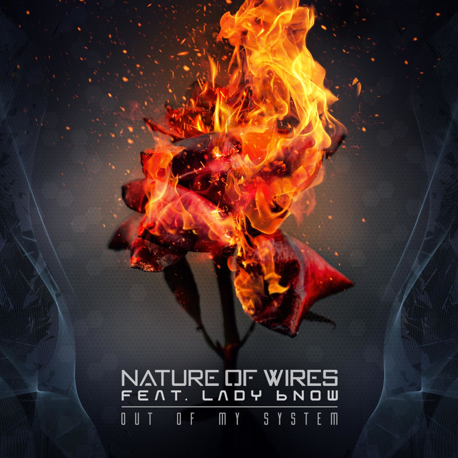 Album cover of Out of my System