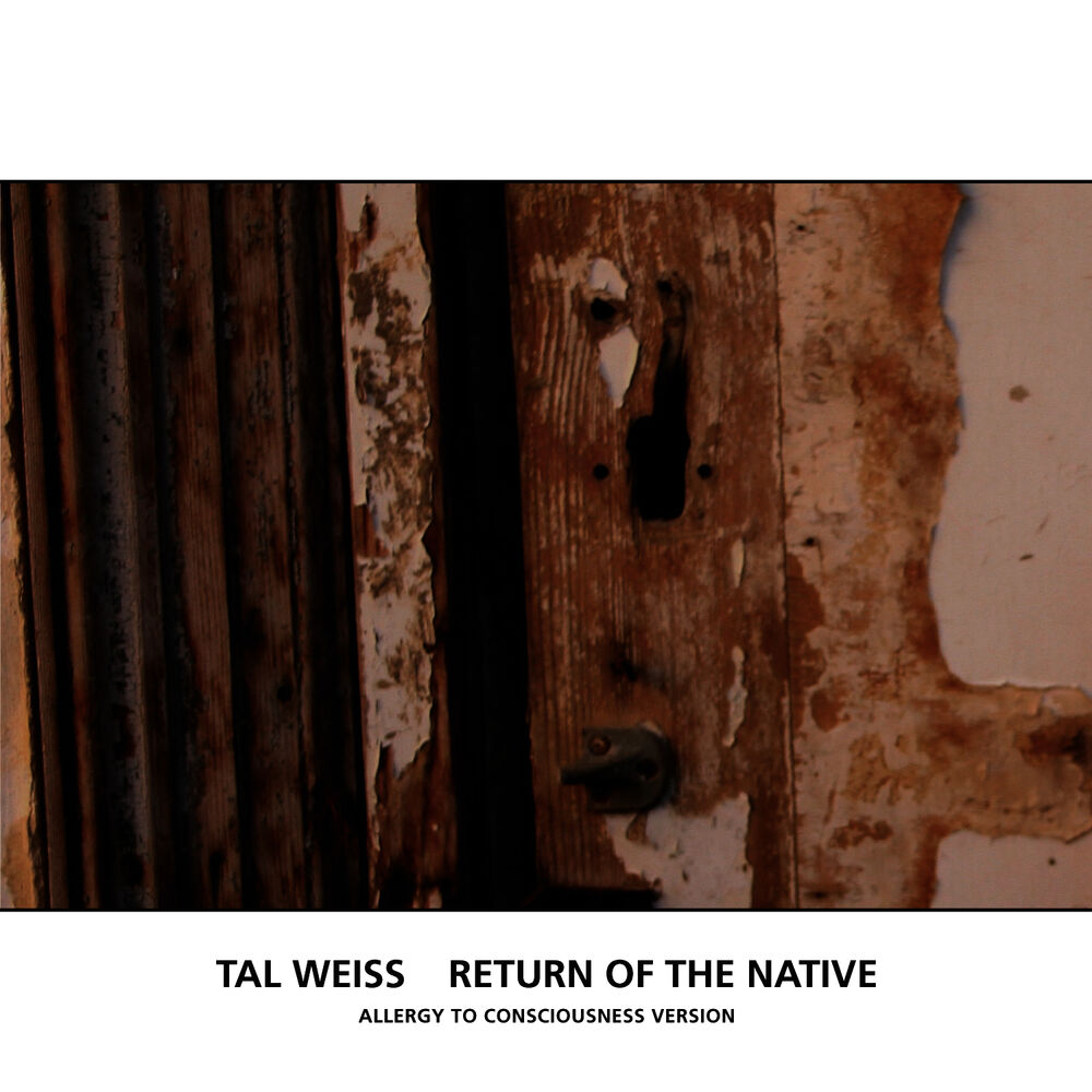 Picture of Return Of The Native (Allergy To Consciousness Version)