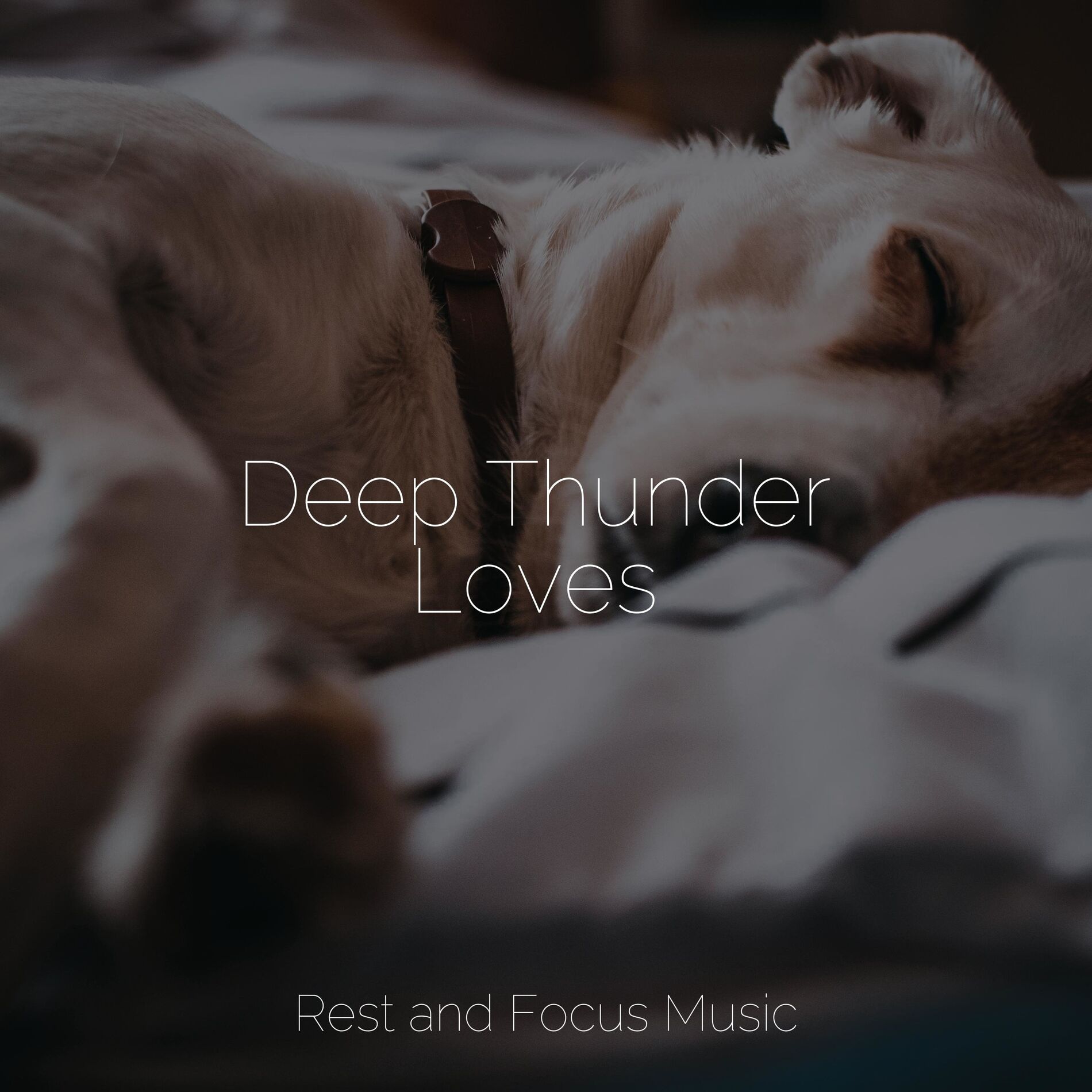 Album cover of Deep Thunder Loves