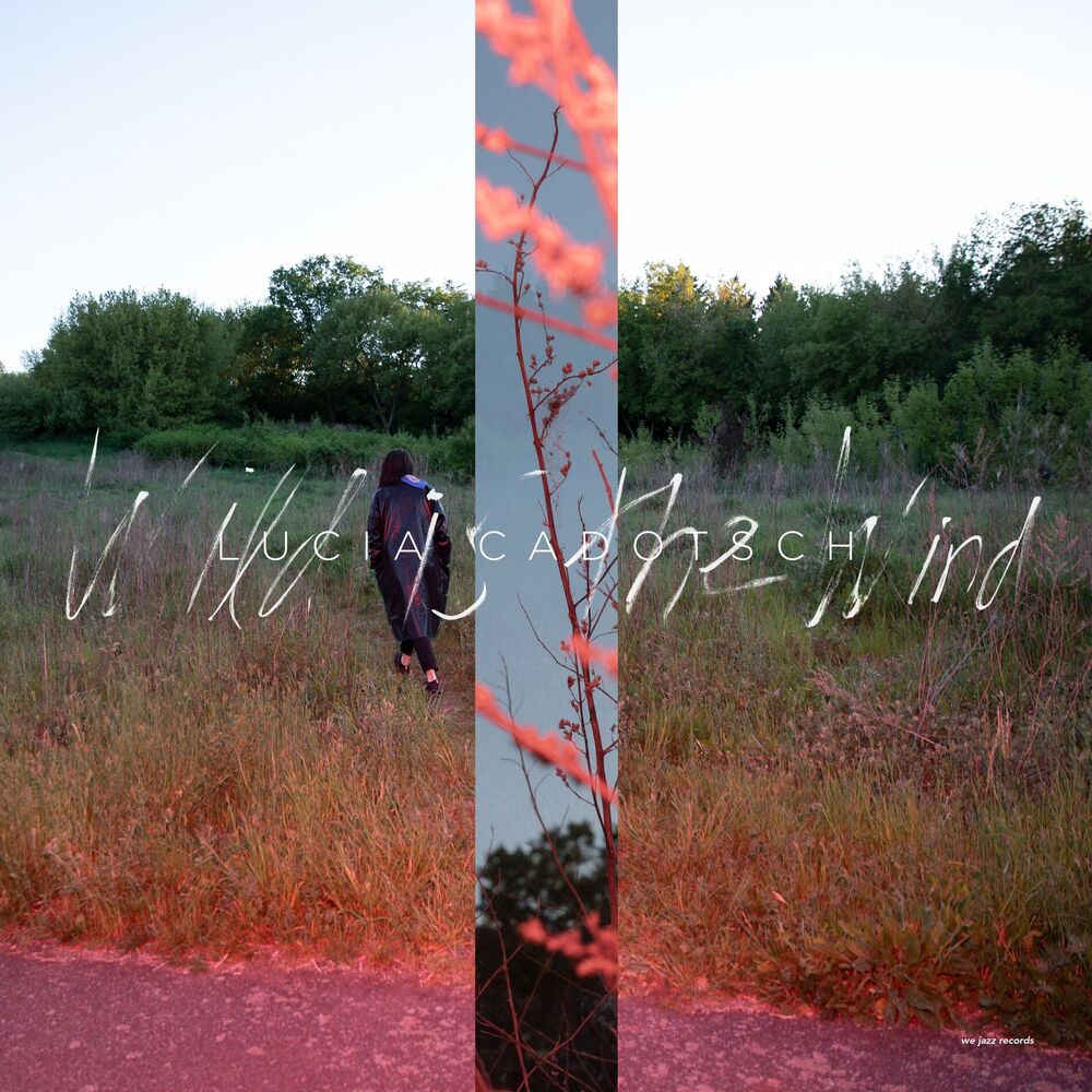 Picture of Wild Is the Wind
