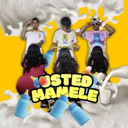 Cover of Usted Mamele