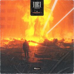 Cover of Disaster