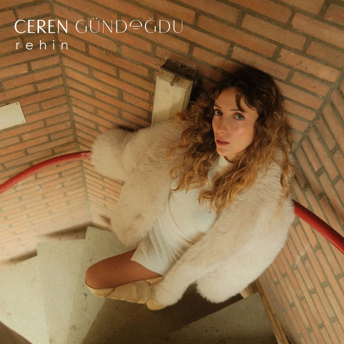 Album cover of Rehin