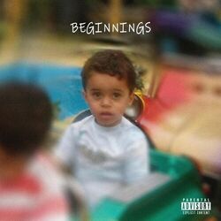 BEGINNINGS