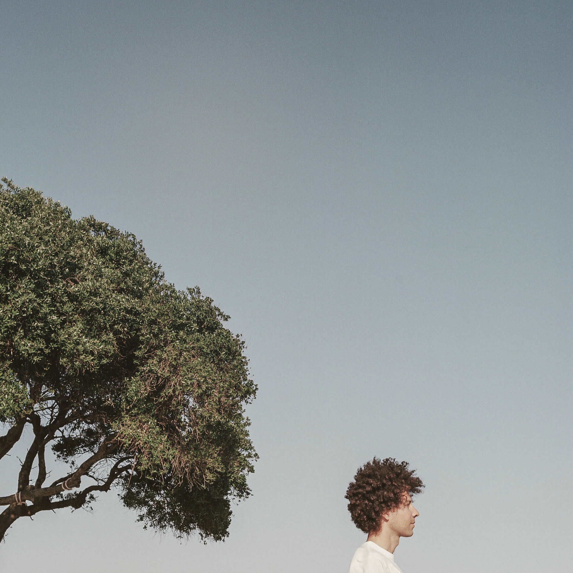 Album cover of SAGE