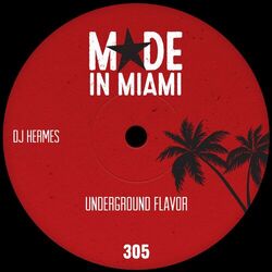 Cover of Underground Flavor
