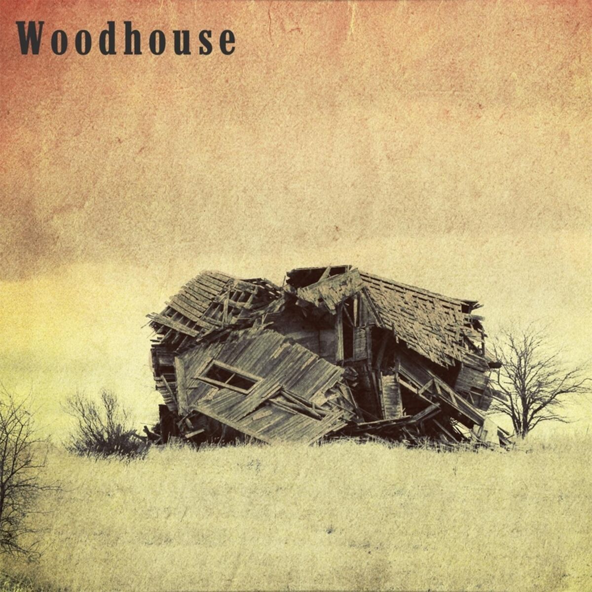 Album cover of Woodhouse