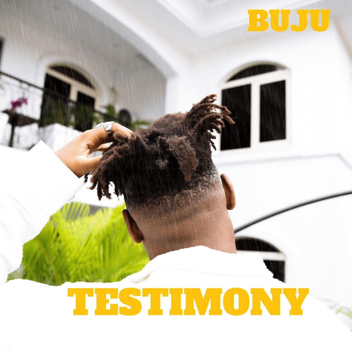 Album cover of Testimony