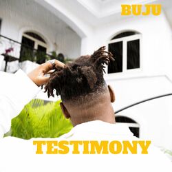 Cover of Testimony