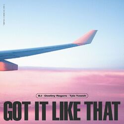 Cover of Got It Like That