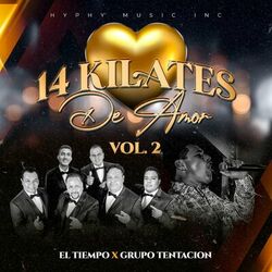 Cover of 14 Kilates de Amor, Vol. 2