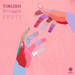Cover of Struggle (Hawksburn Mix)
