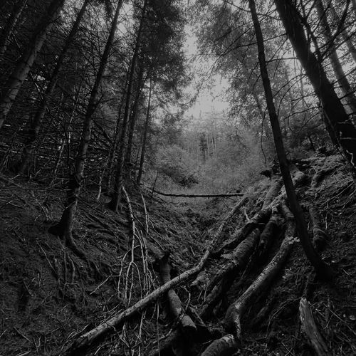 Valley of Death