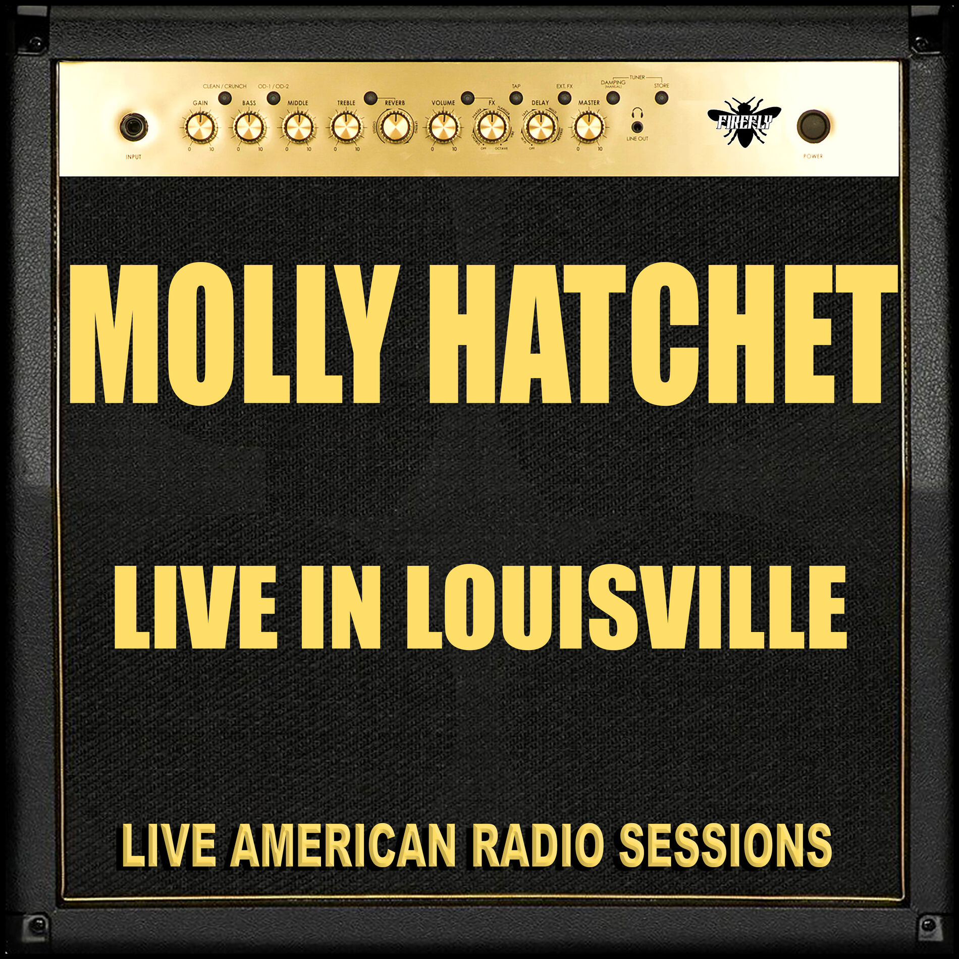 Album cover of Live in Louisville (Live)