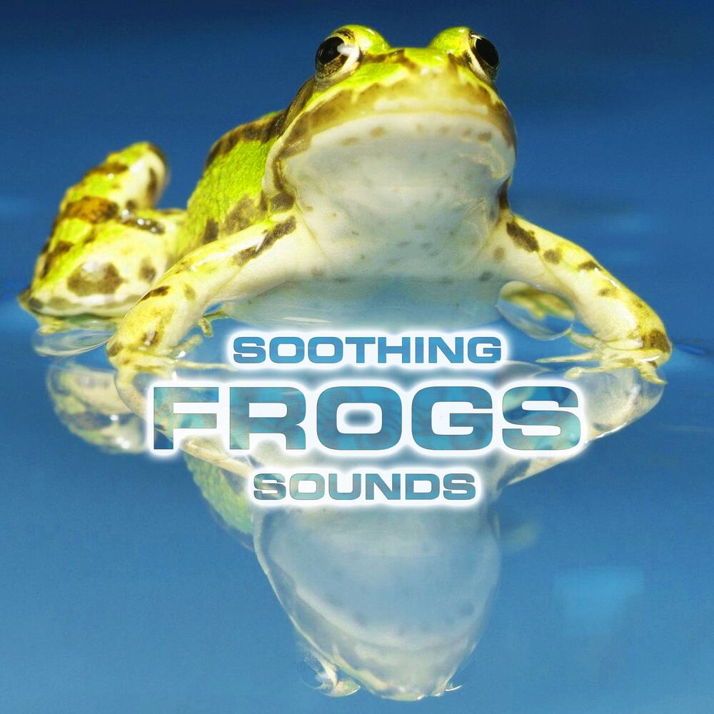 Picture of Soothing Frogs Sounds (feat. Soothing Sounds, Soothing Baby Sounds, National Geographic Soundscapes, Relaxing Nature Sound, White 