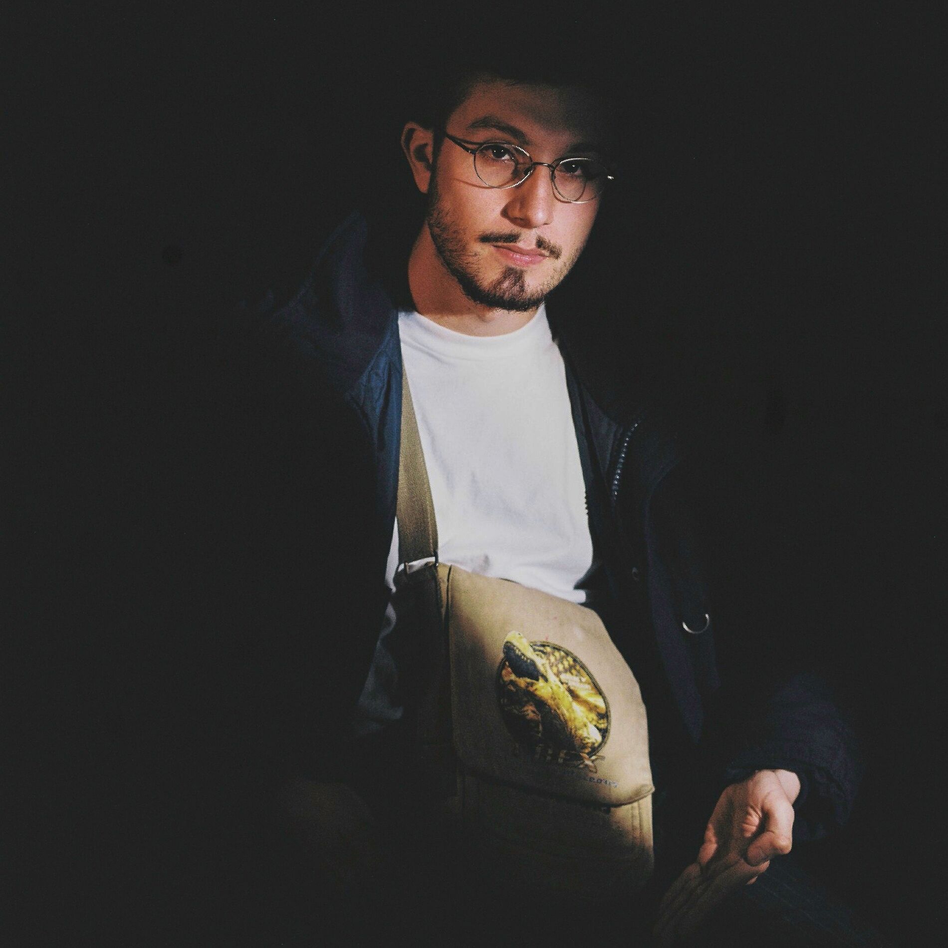 Album cover of jurassic