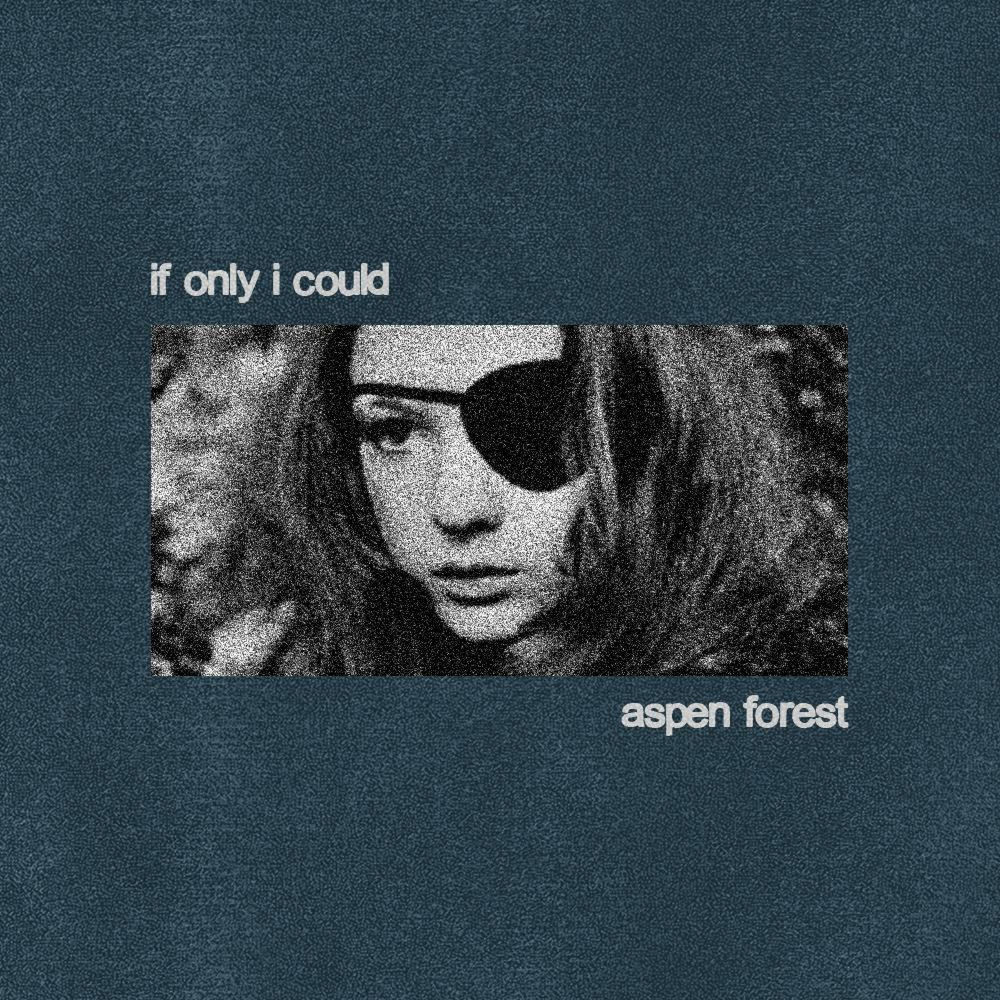 Pochette du titre If Only I Could