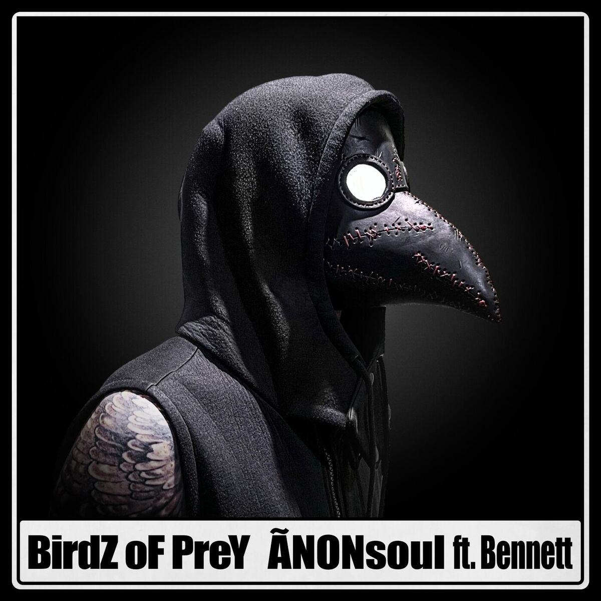 Album cover of BirdZ oF PreY
