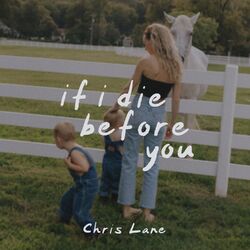 Cover of If I Die Before You