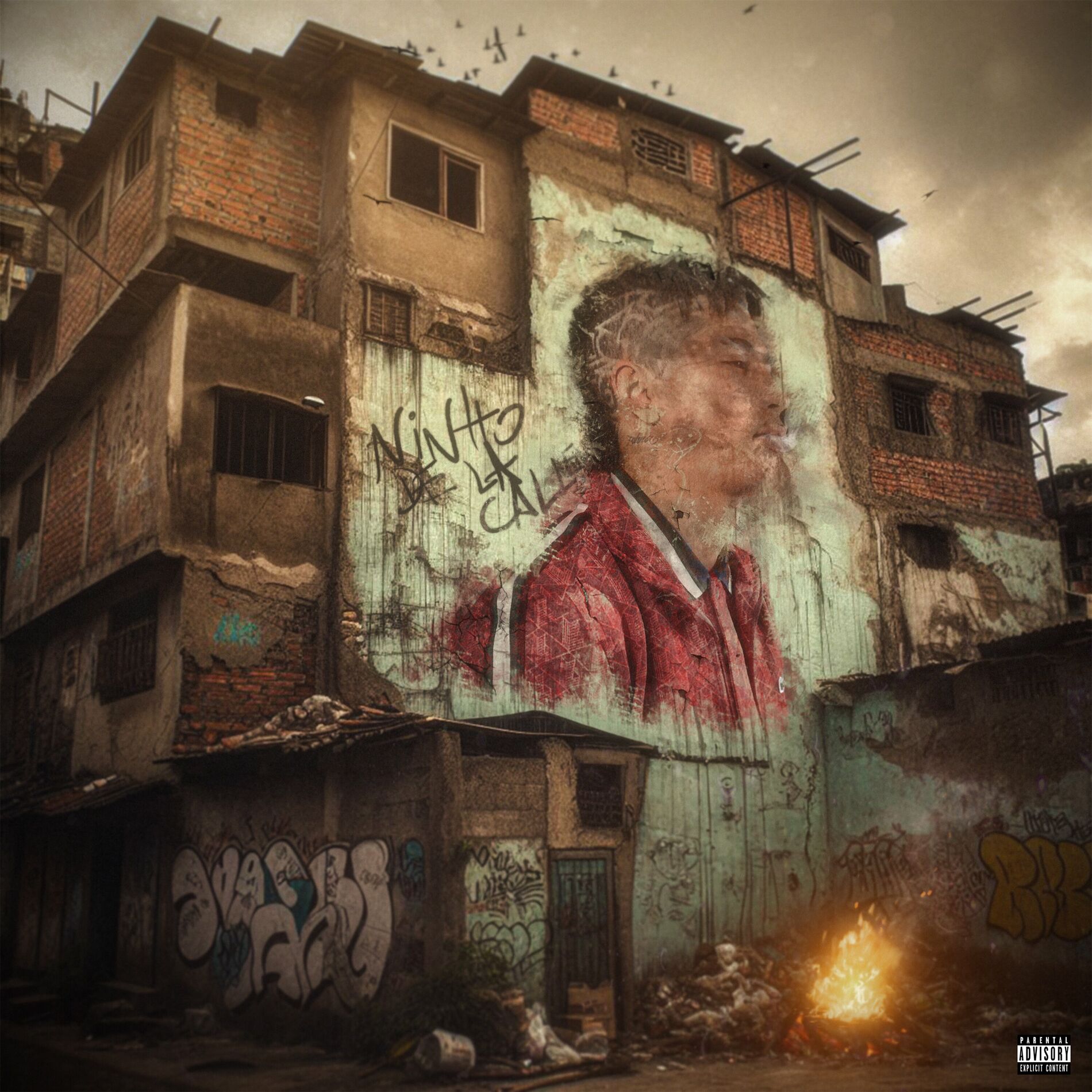Album cover of Ninho De La Calle