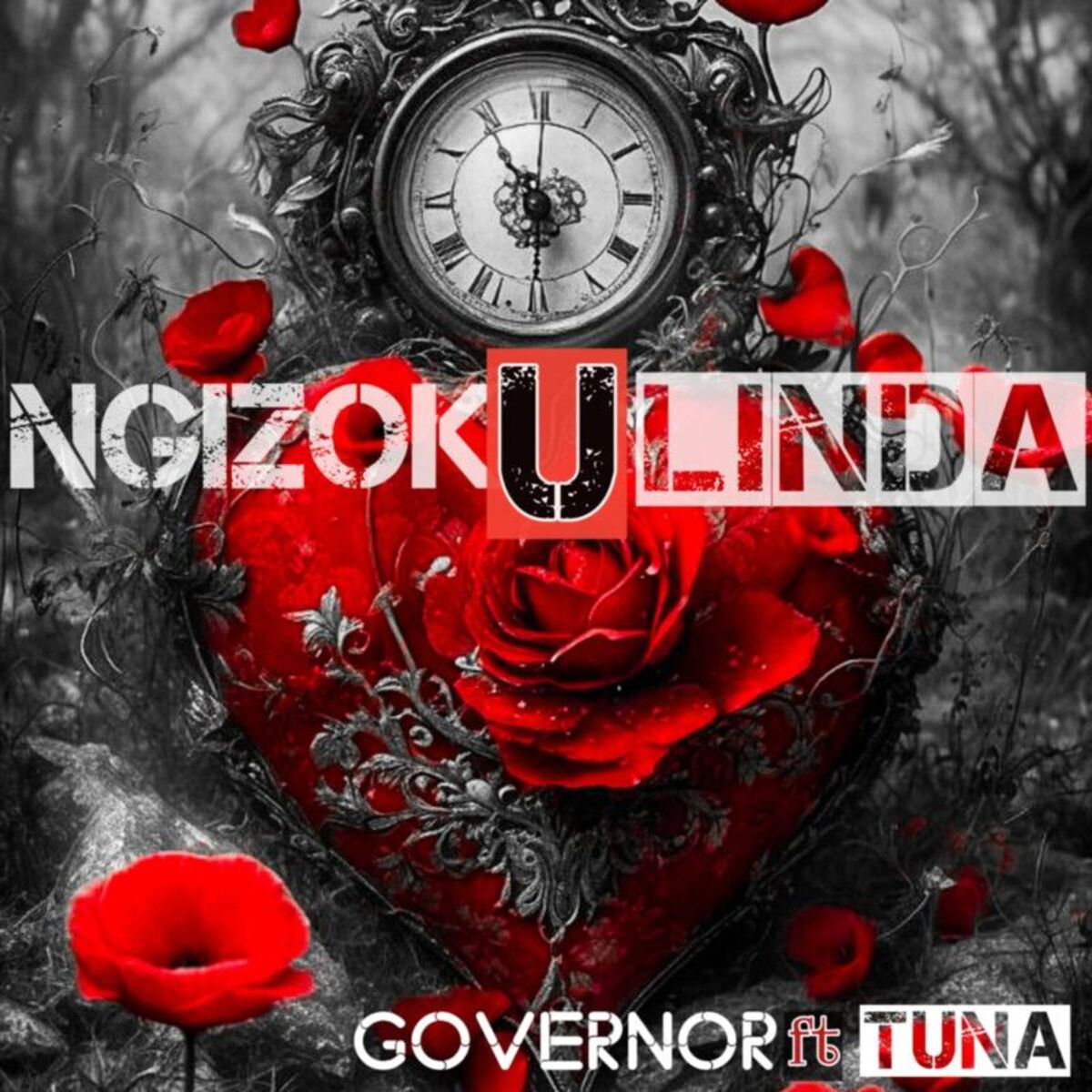Album cover of Ngizokulinda