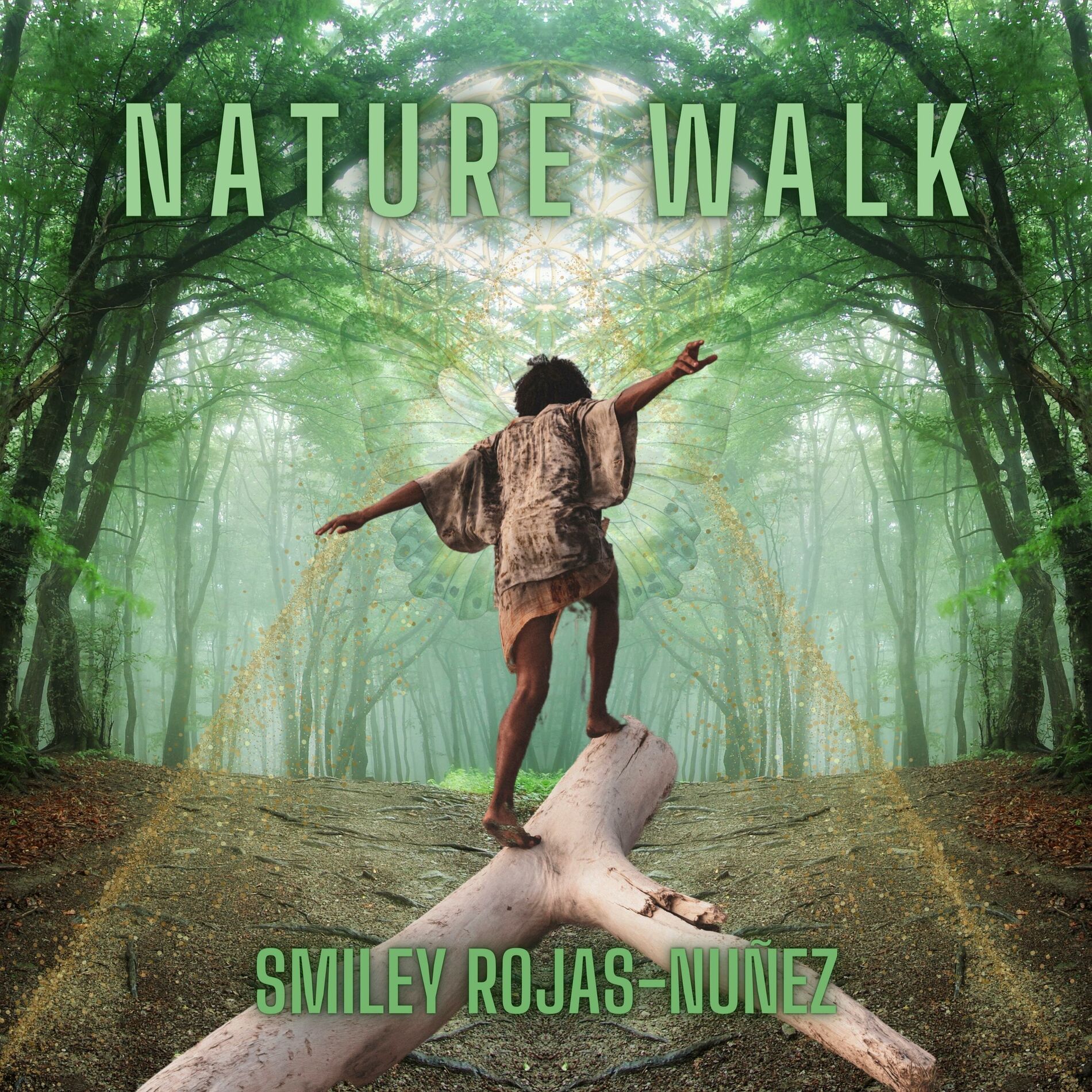 Album cover of Nature Walk
