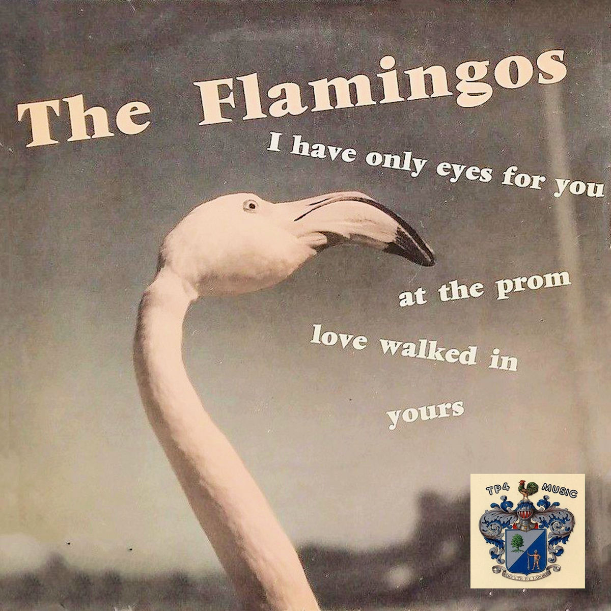 Album cover of I Only Have Eyes for You