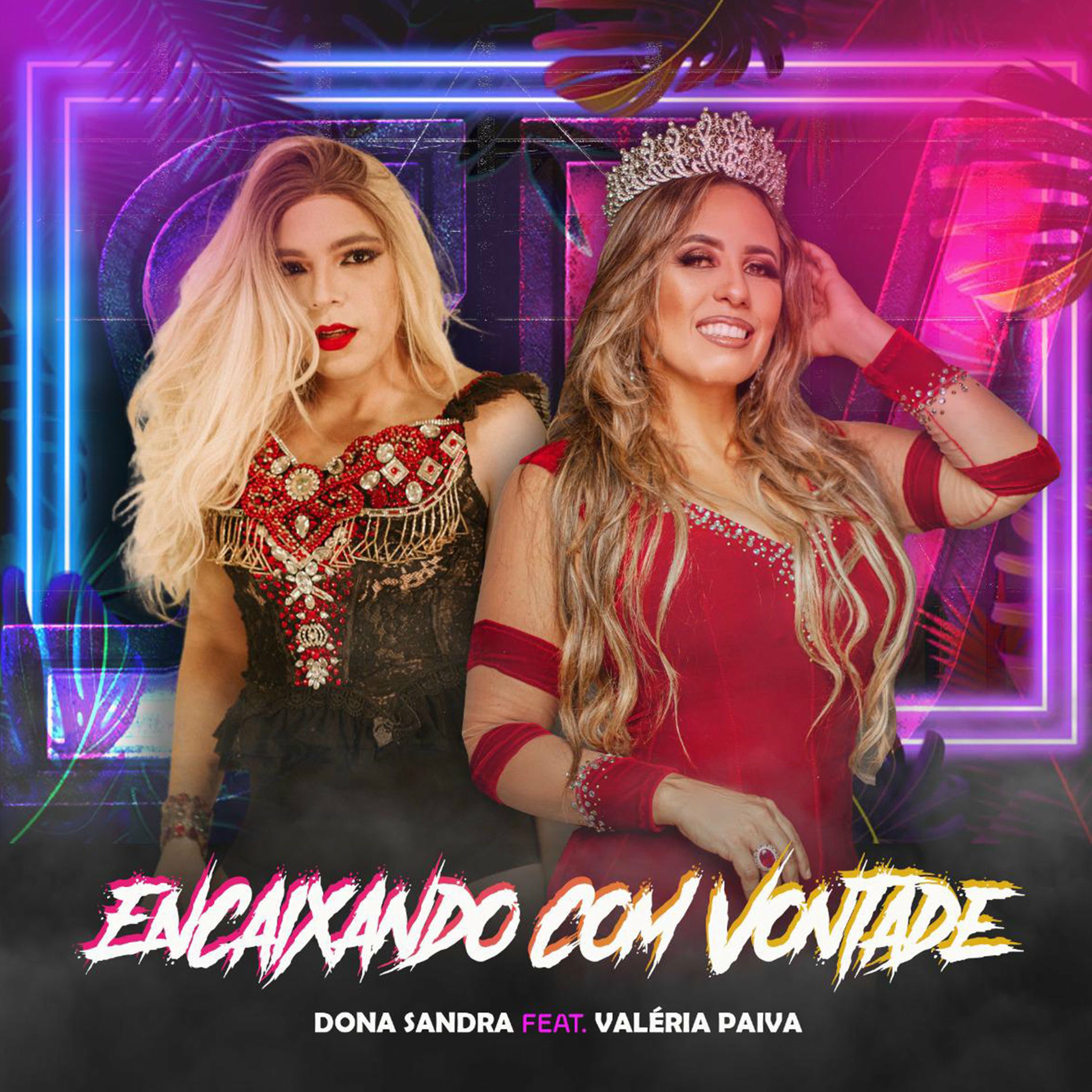 Album cover of Encaixando Com Vontade
