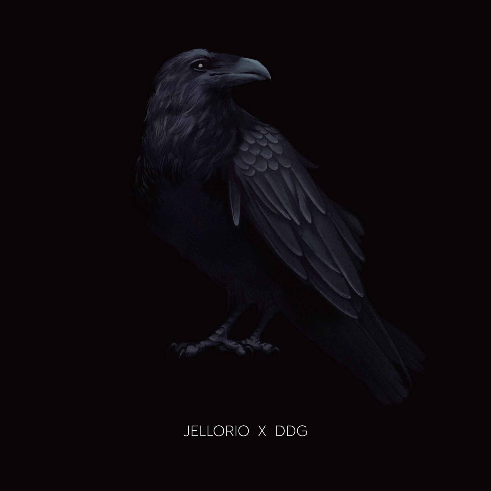 Album cover of RAVEN