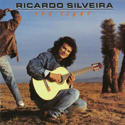 Cover of Sky Light
