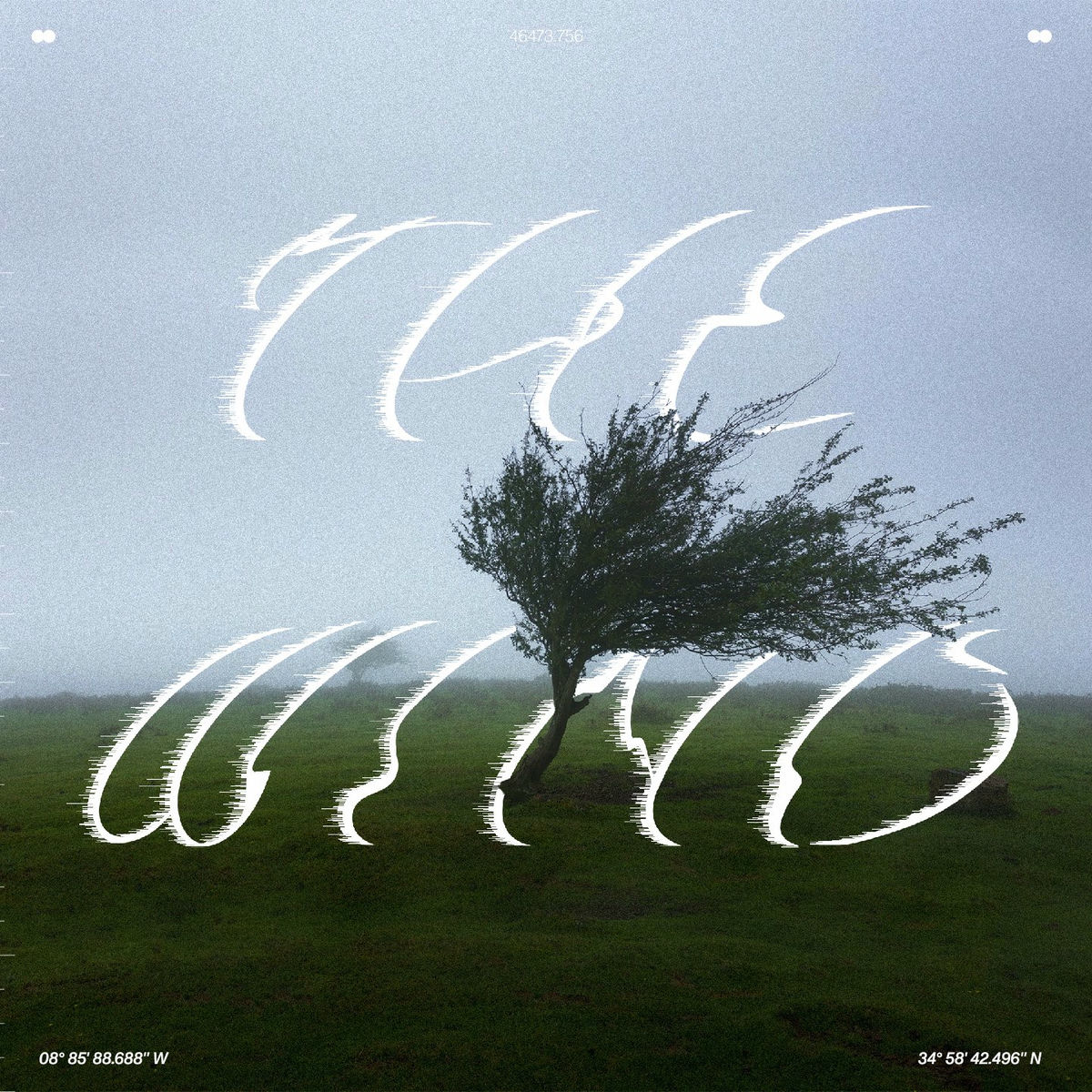Album cover of The Wind