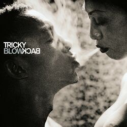 Cover of Blowback