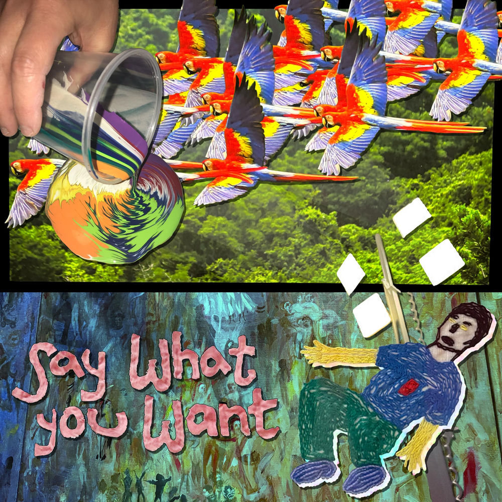 Pochette du titre Say What You Want