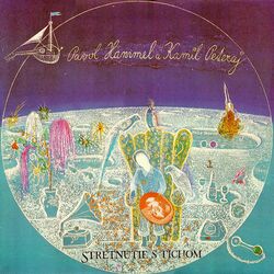 Cover of Stretnutie s tichom