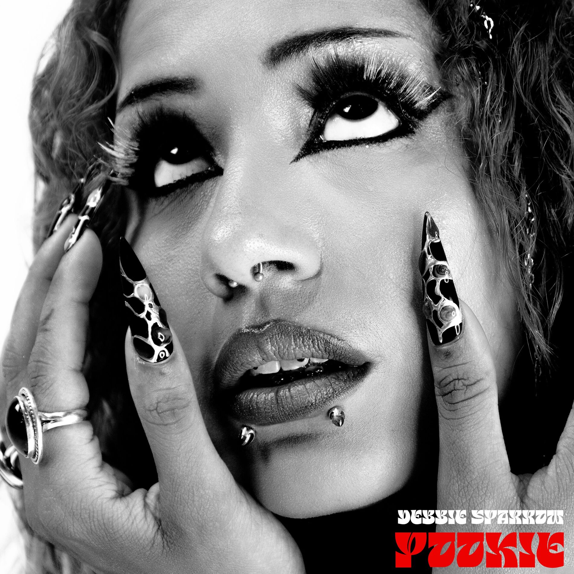 Album cover of Pookie