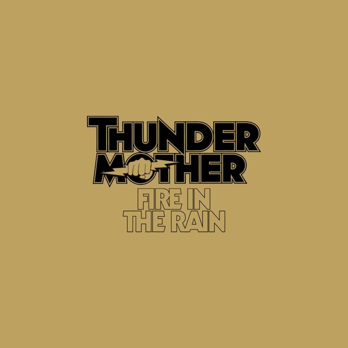 Album cover of Fire in the Rain